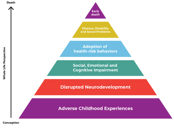 Pyramid chart of how Adverse Childhood Experiences influence Health and Well-being throughout the lifespan